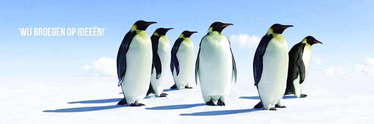 NewPenguins's profile banner image