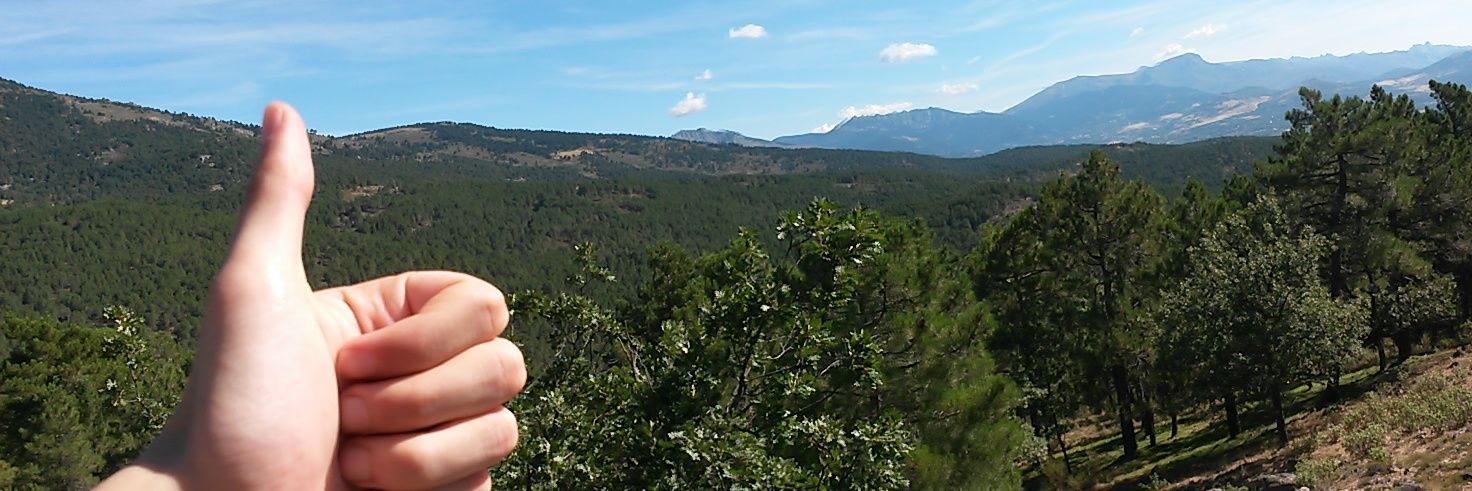 cerezoo22's profile banner image