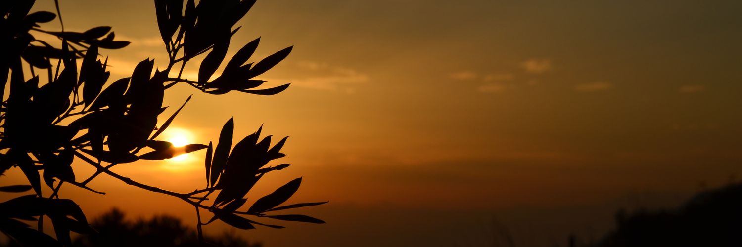 Adf_21_02's profile banner image