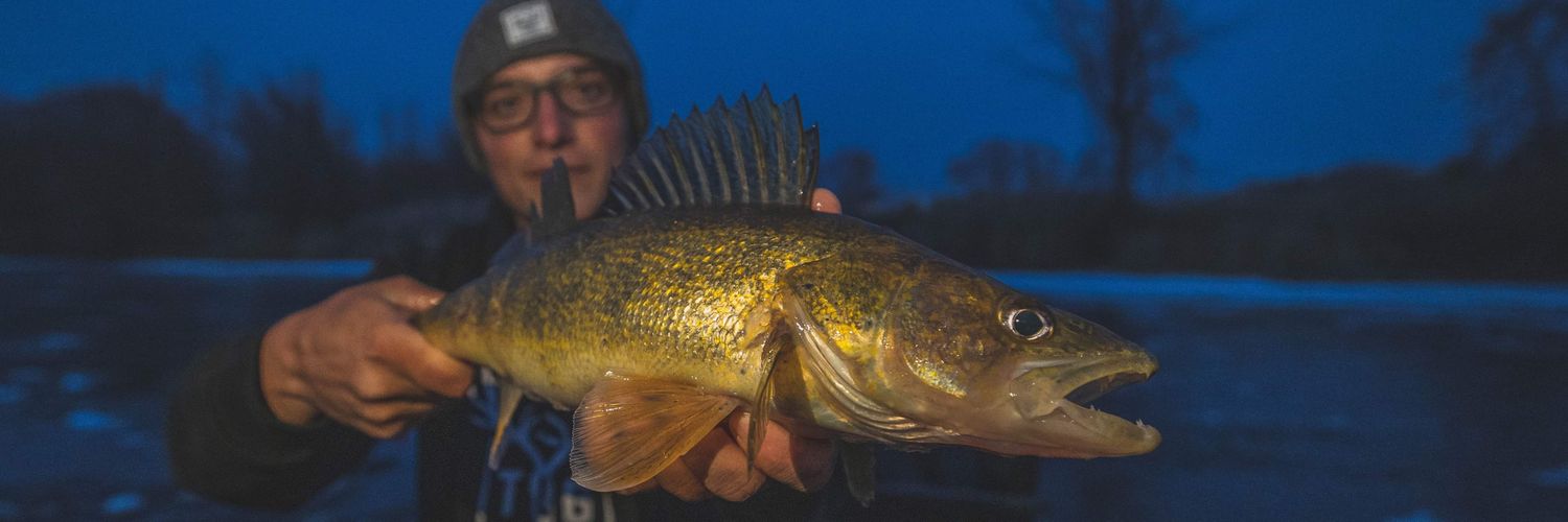 Ryan Pizzacalla banner