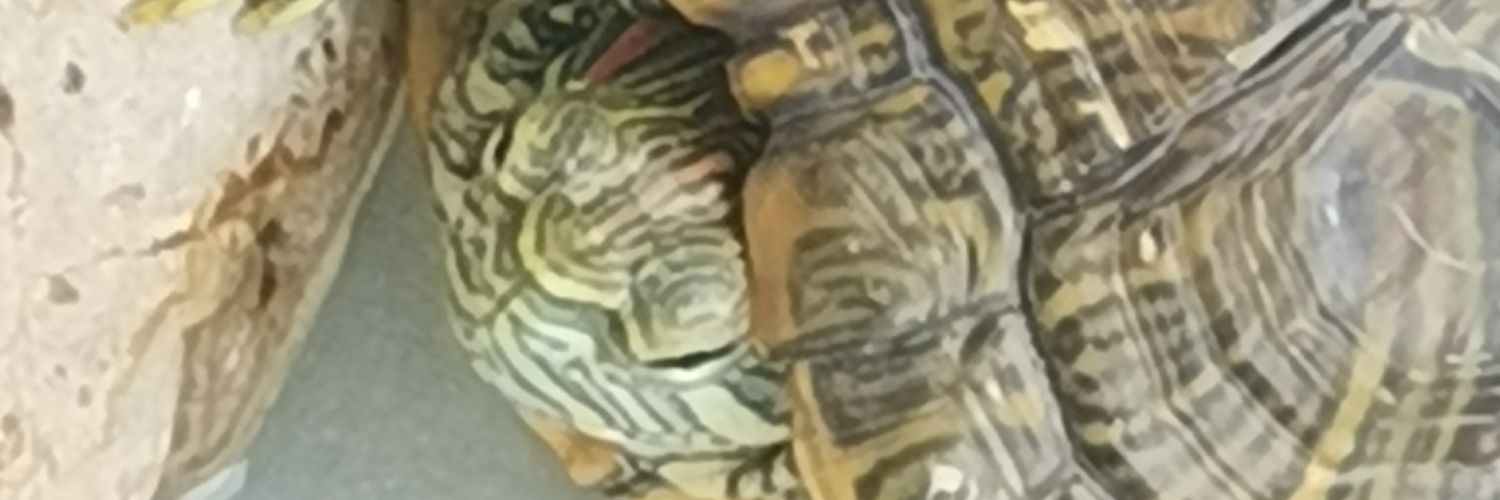 jabber256's profile banner image