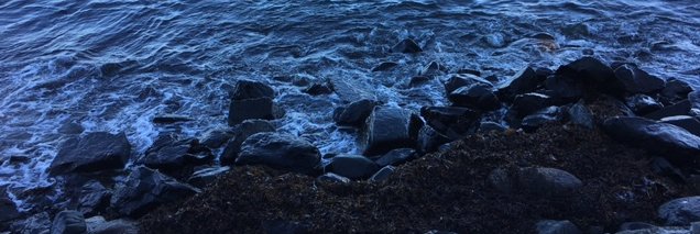 CarolMorris11's profile banner image
