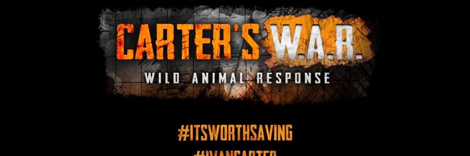 carterswar's profile banner image