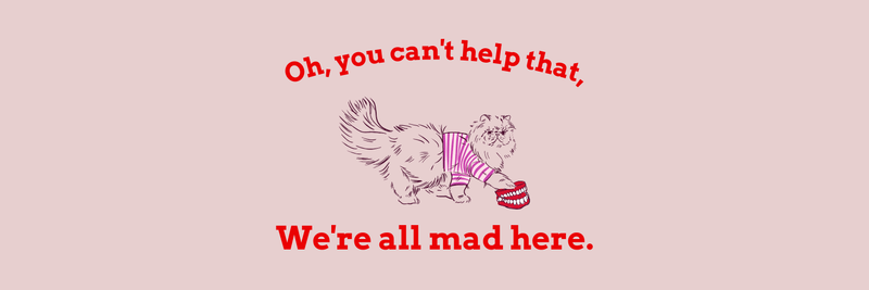 Michael Tschuertz banner