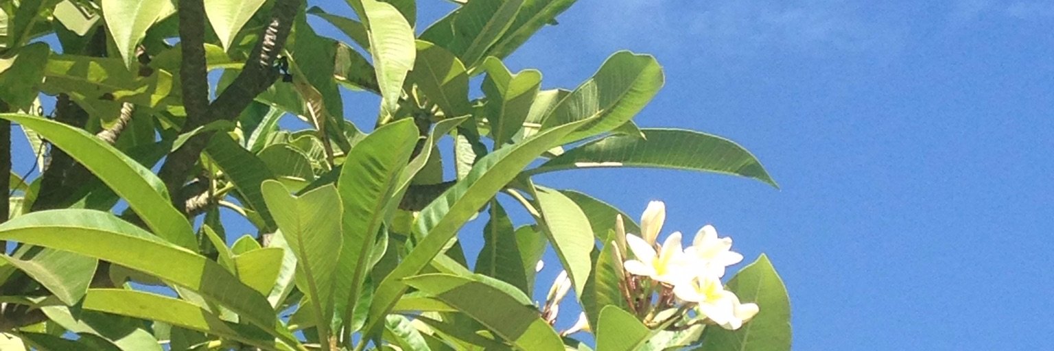 QuarterToTen1's profile banner image