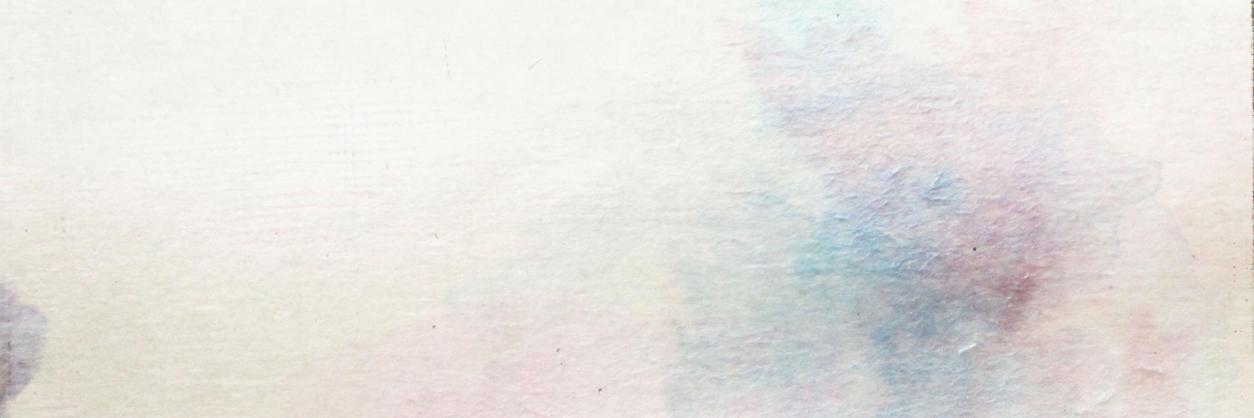 PurpleTurtleMag's profile banner image