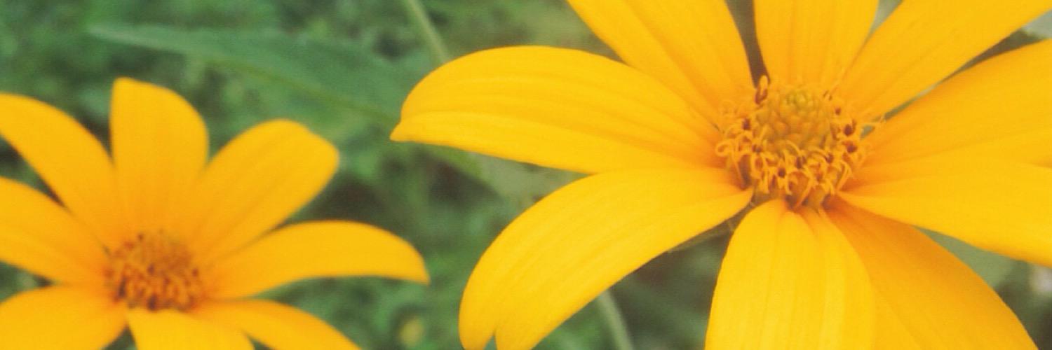 salAmanda77's profile banner image
