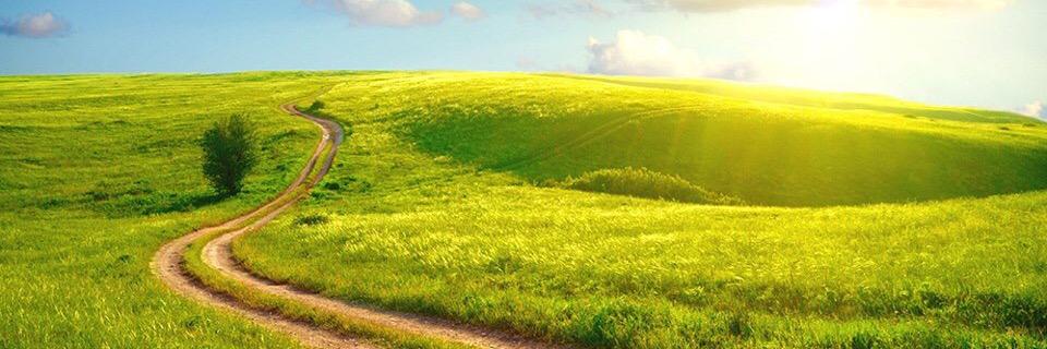 afra72's profile banner image