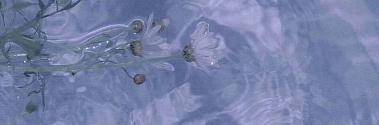 Nine banner