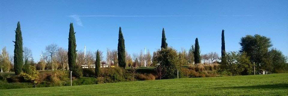 belenviteric's profile banner image