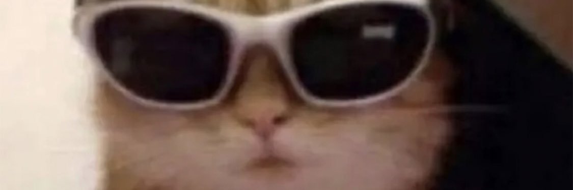 parisbellat's profile banner image