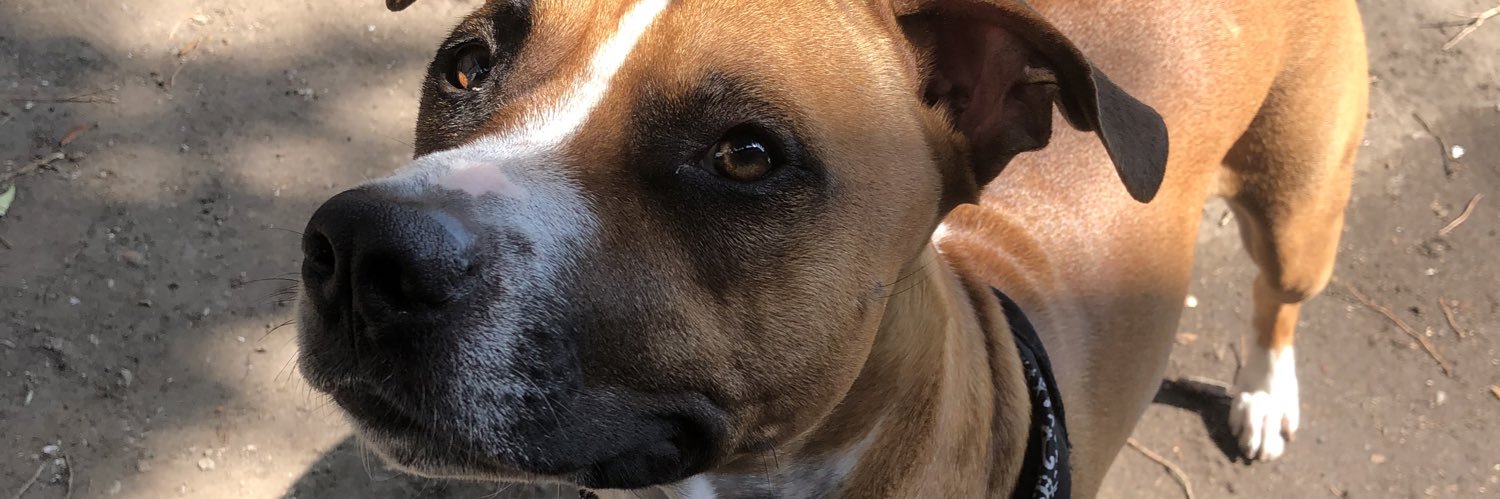 ribero_zoe's profile banner image
