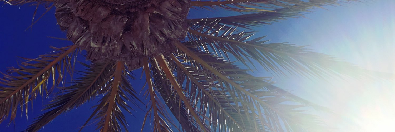 Melissapitt01's profile banner image