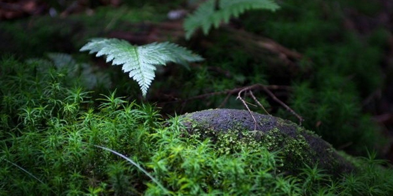 H05Mayuresh's profile banner image
