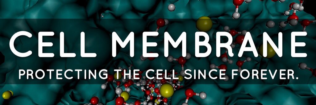 Membrane2016's profile banner image