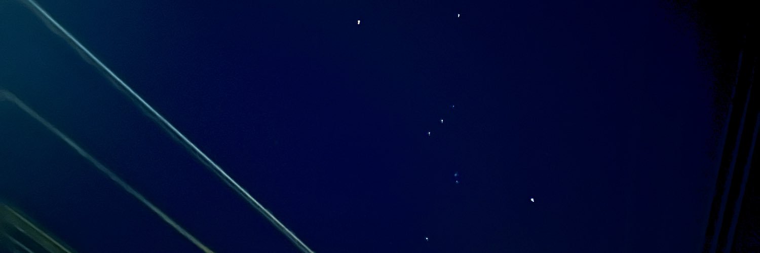 gooselover_'s profile banner image