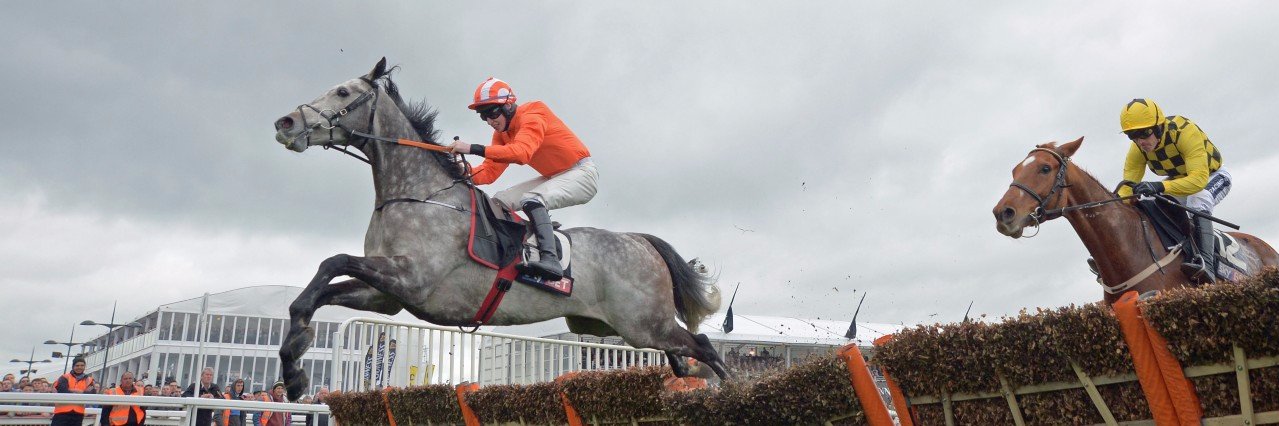 Paddy von Behr banner