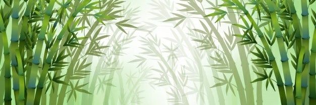 BadlPanda's profile banner image