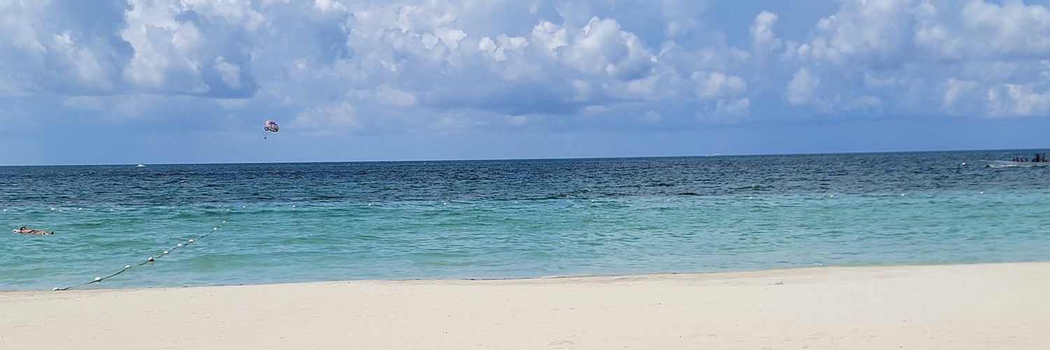 Dev_SC's profile banner image