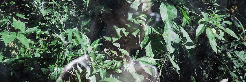 osklenUSA's profile banner image