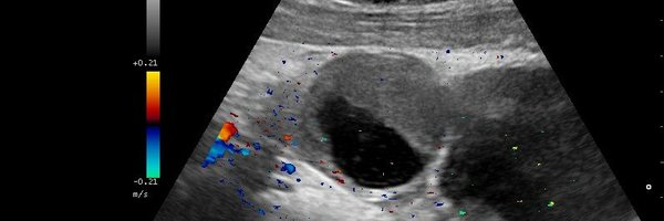 ecoapcat Profile Banner