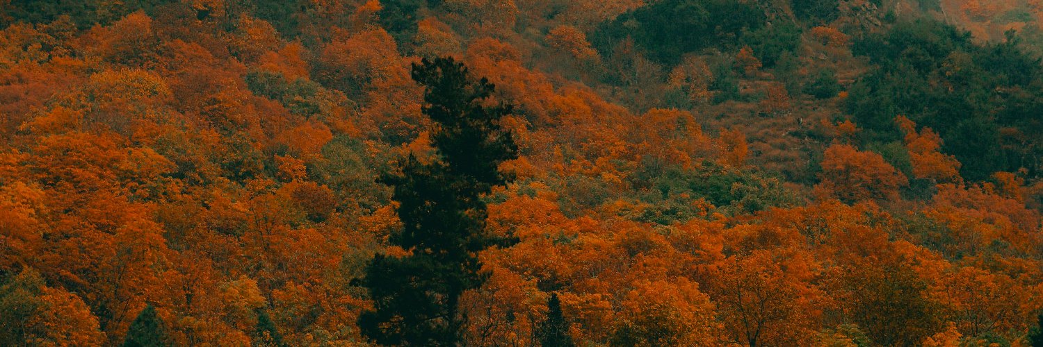 Raynnier30's profile banner image