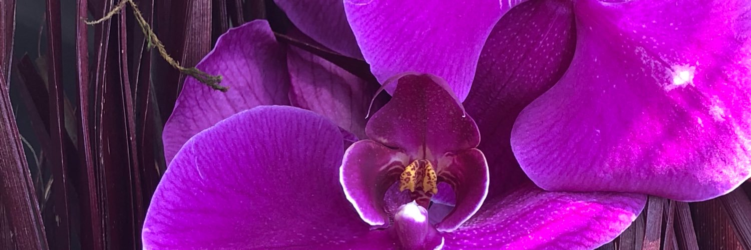 yannia76's profile banner image