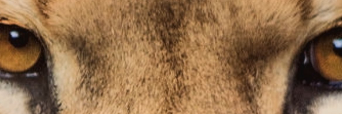 Uran_nail's profile banner image
