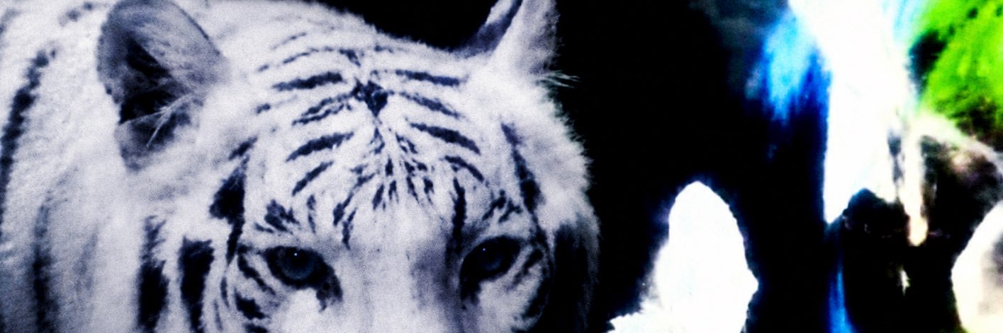 itsmagicwands's profile banner image