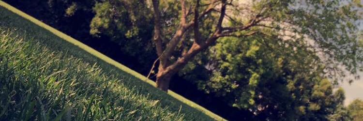 alin2s3er's profile banner image