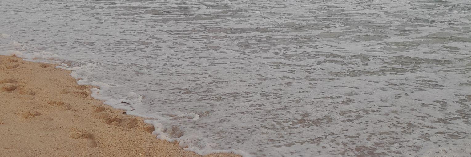 lsalmm's profile banner image