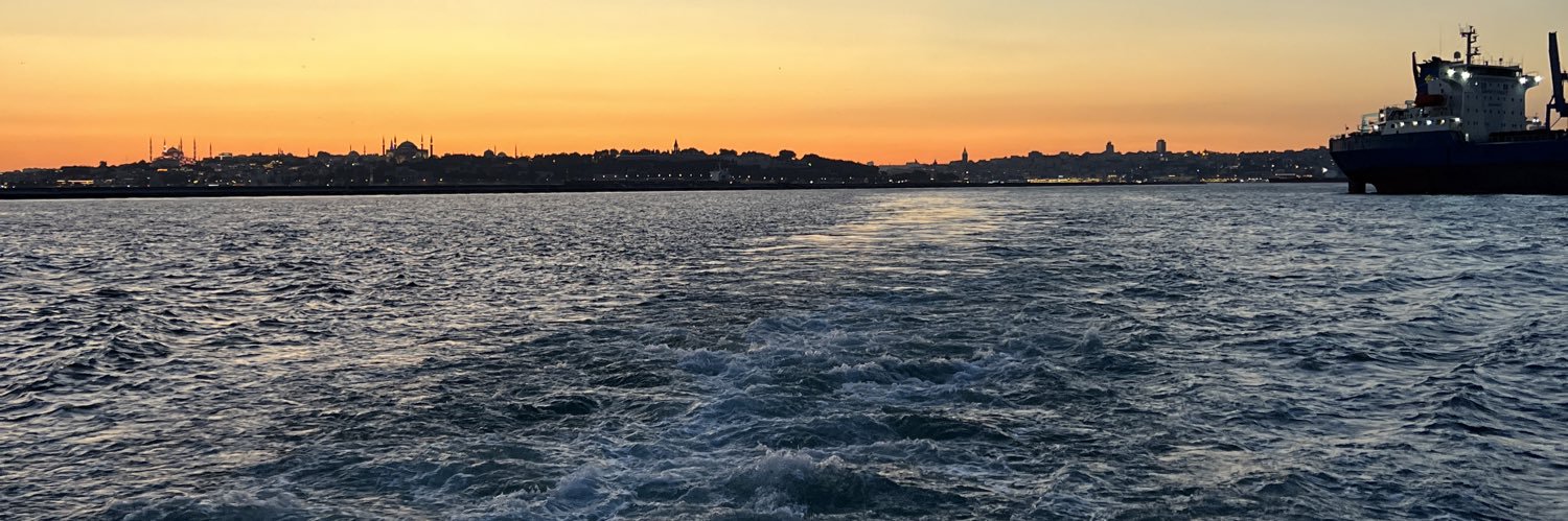 cemileslymn's profile banner image