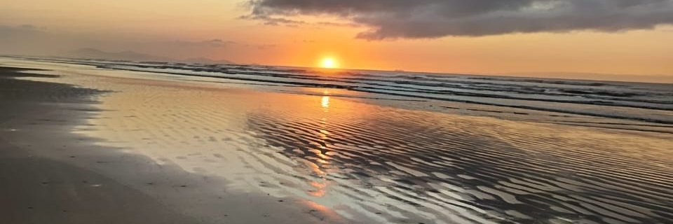 joaomarinhosp's profile banner image
