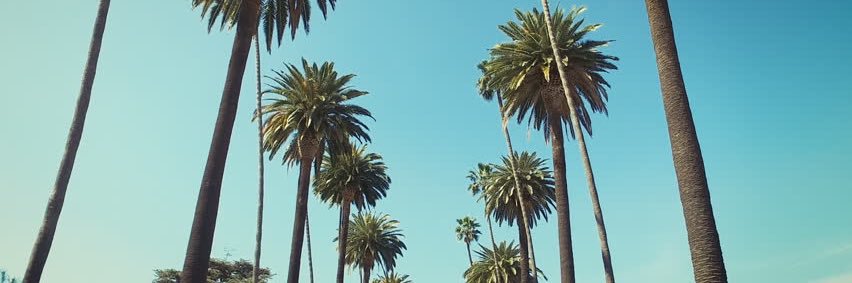 Princecarlo_'s profile banner image