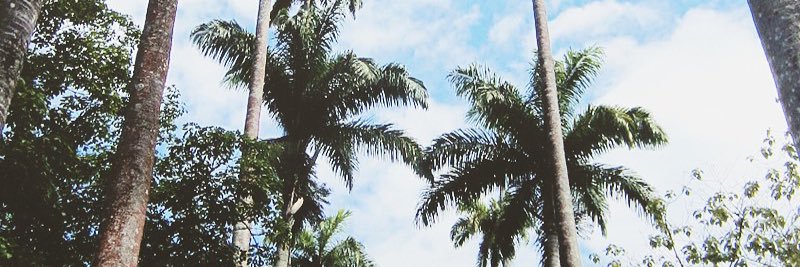 Tatipuj's profile banner image