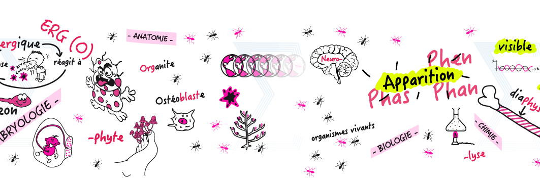 mooc_racines's profile banner image