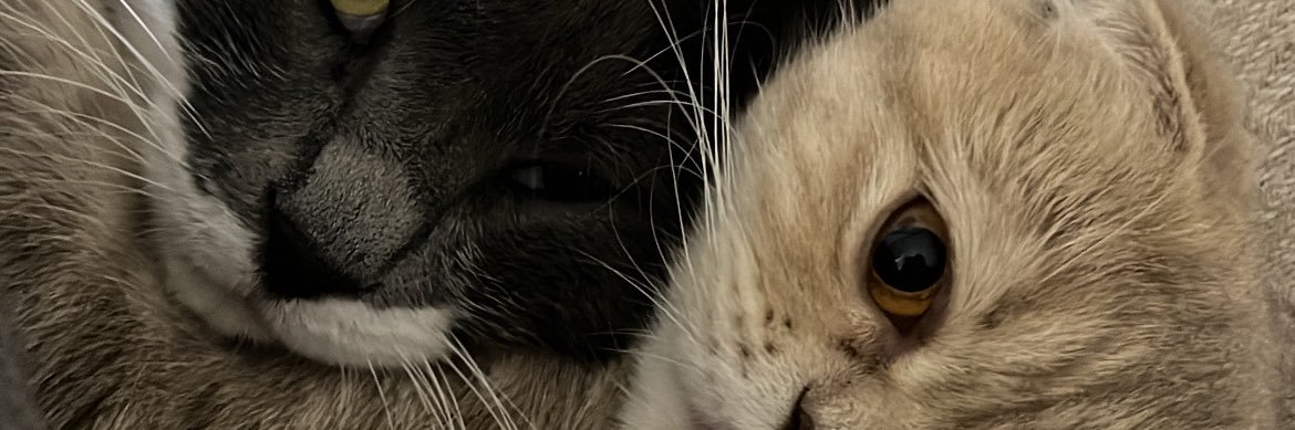 yusergun's profile banner image