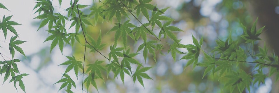 haruna__003's profile banner image