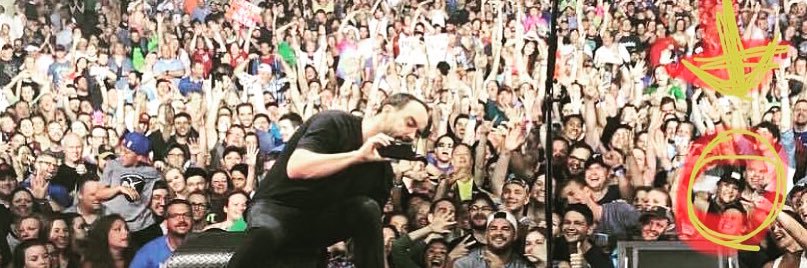 monkey_tree's profile banner image