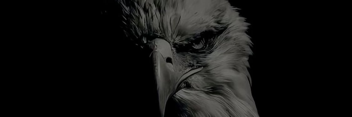 litdmr's profile banner image
