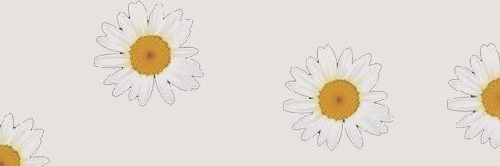 ดอกเดซี่บนดาวพลูโต 🌼 banner