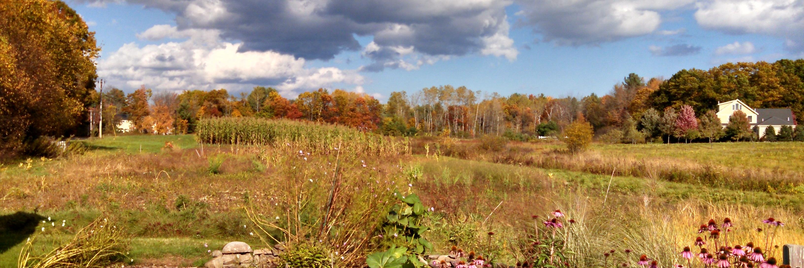 MaineFoodSystem's profile banner image