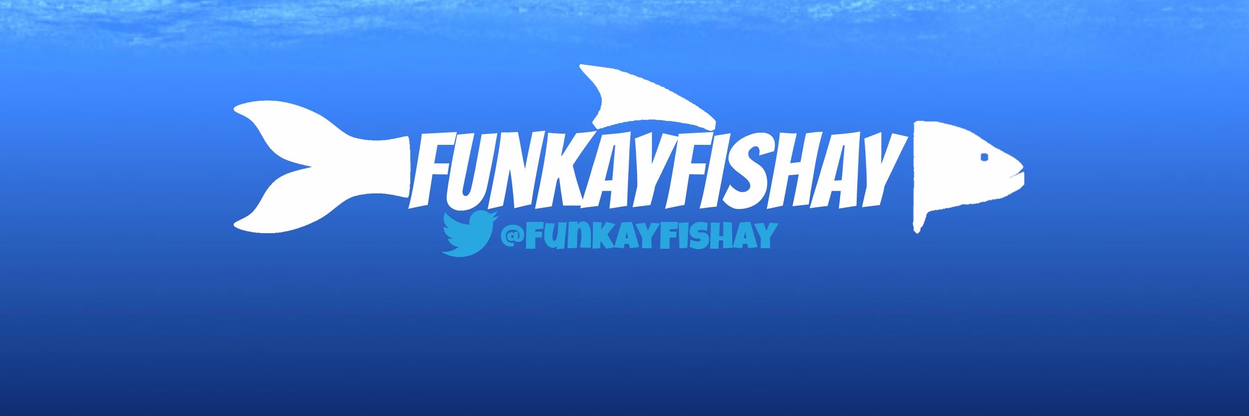 FunkayFishay banner