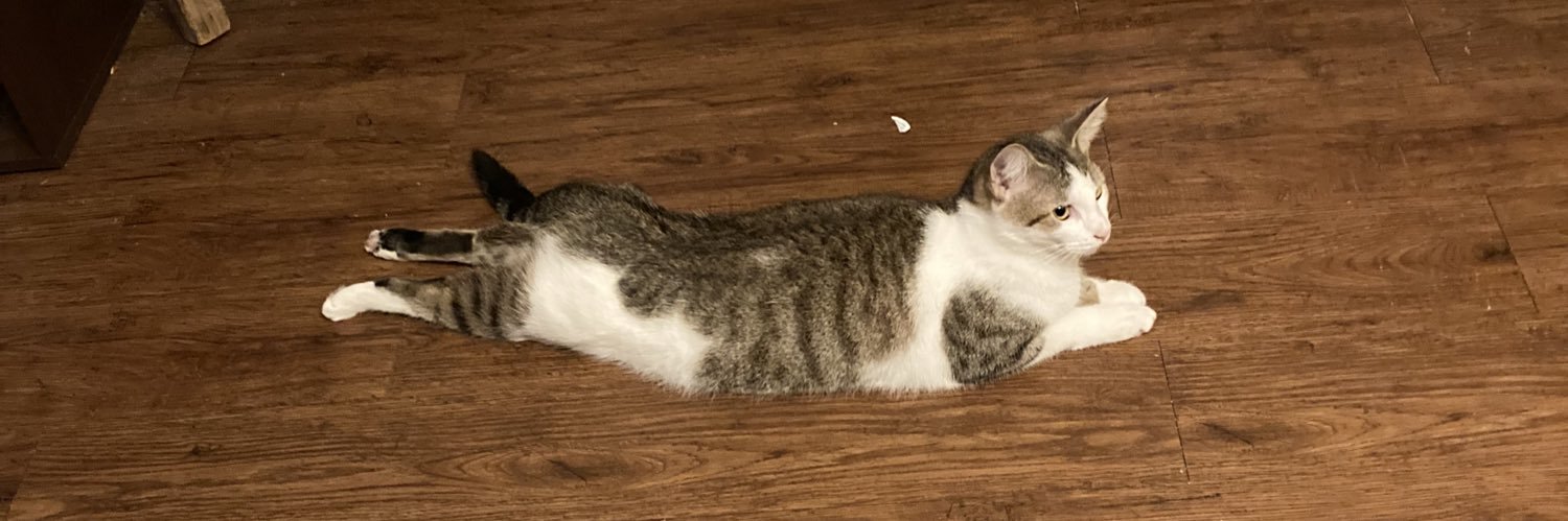 suttlebear's profile banner image