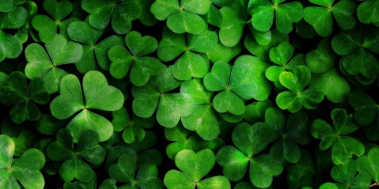 Atreidesnorte's profile banner image