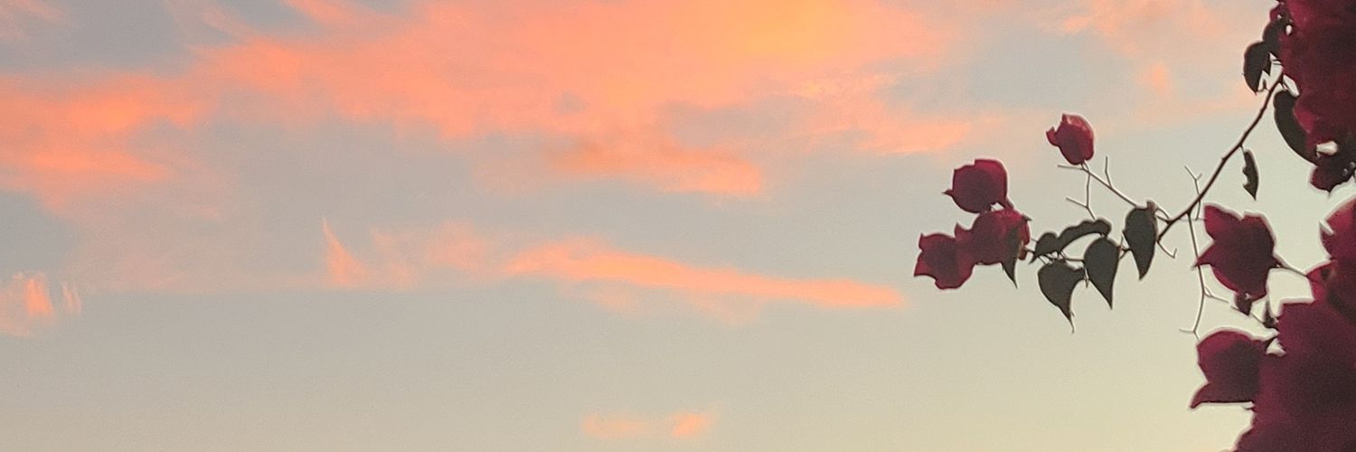 AmandaNiqole's profile banner image