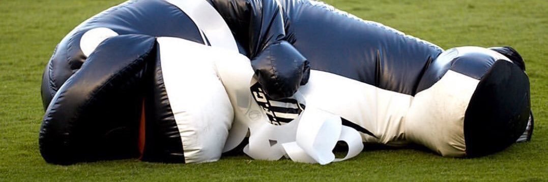 Le Congo James banner