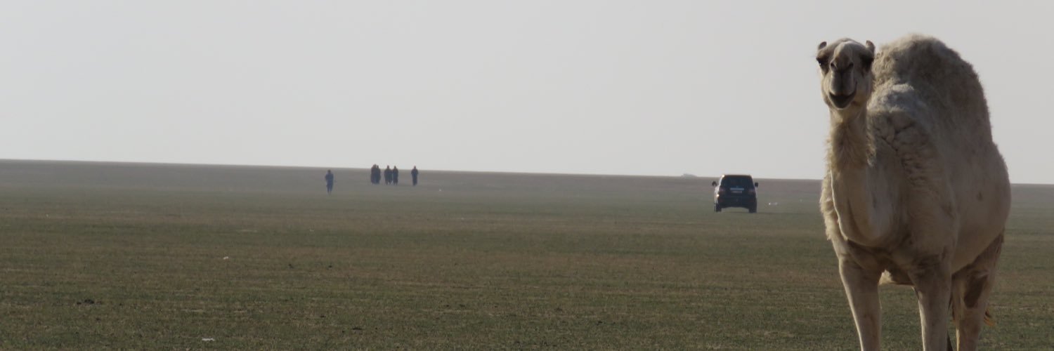 سلطان  الهاملي banner