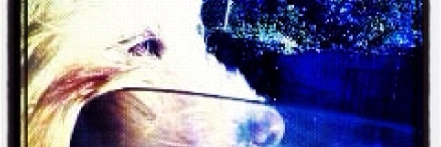 catanunezc's profile banner image