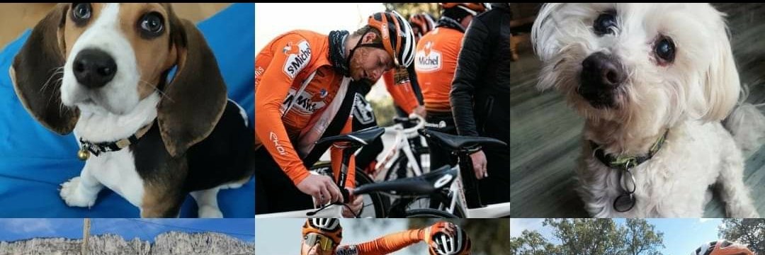 Morne van Niekerk banner